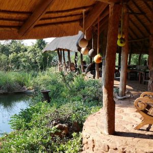 Sigurwana Lodge grandiose Natur