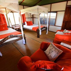 Simply Saadani Lodge