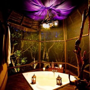 Simply Saadani Lodge