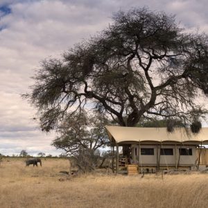 Somalisa Expeditions, Außenansicht