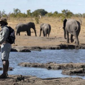 Somalisa Expeditions_2