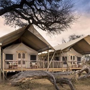 Somalisa Expeditions