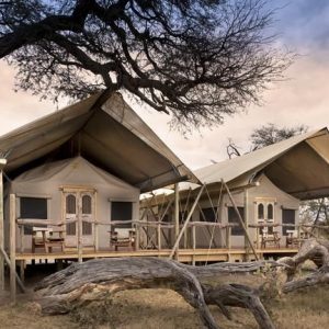 Somalisa Expeditions