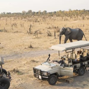 Somalisa Main Camp, Pirschfahrten