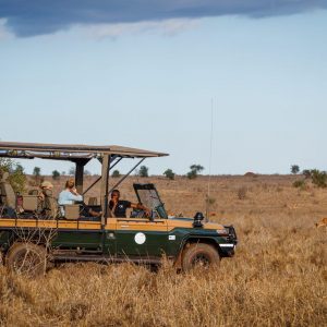 Soroi Lions Bluff Lodge auf Pirschfahrt