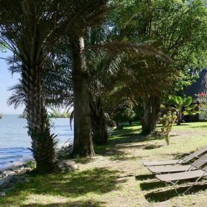 Speke Bay Lodge