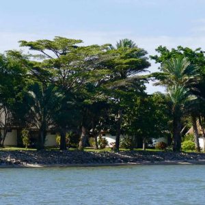 Speke Bay Lodge