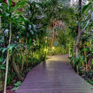 St. Lucia Forst Lodge, Wege