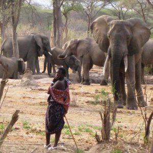 Gruppensafari in Tansanias Süden, Tandala Tented Camp