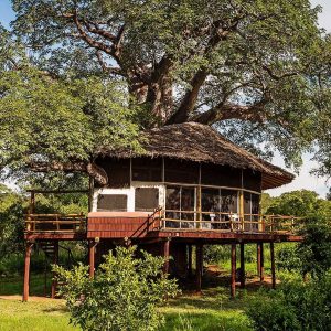 Tarangire Treetops Camp, Baumhaus