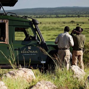 Tarangire Treetops Camp, Pirschfahrt