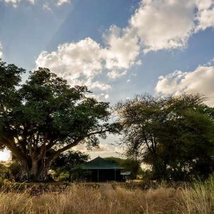 Tarangire View Camp