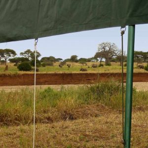 Tarangire View Camp