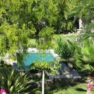 Tarentaal Guestfarm, tropischer Garten