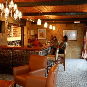 The Ark, Bar