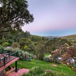 The Cavern tropischer Garten