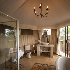 The Elephant Camp Bad