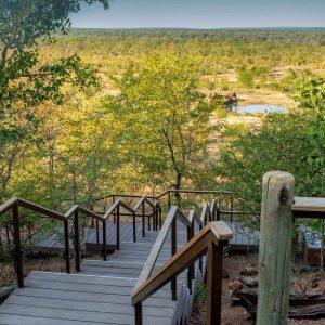 The Elephant Camp Wasserloch