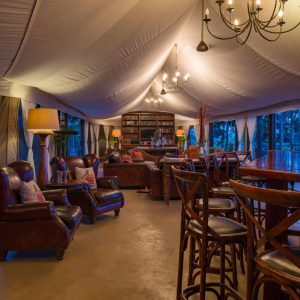 The Elephant Camp