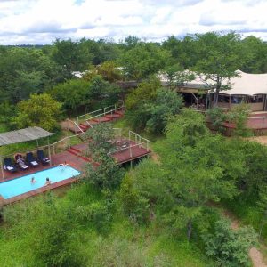 The Elephant Camp