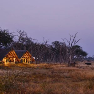 The Hide