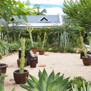 The Robertson Small Hotel, Kaktus Garten