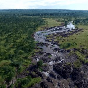 The Wallow Lodge, Aussichten