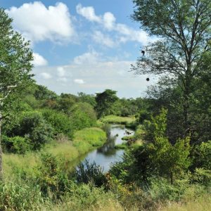 The Wallow Lodge, schöne Aussichten