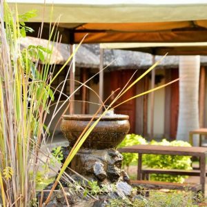 Thebe River Safaris
