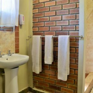 Thebe River SafarisBadezimmer