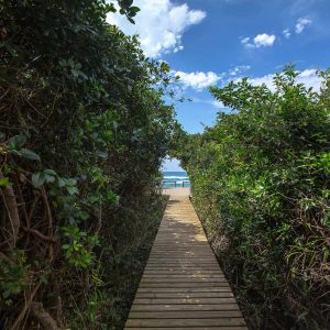 Thonga Beach Lodge Jetty zum Strand