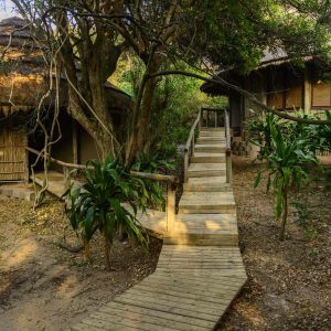 Thonga Beach Lodge Suiten