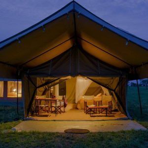 Thorn Tree Camp