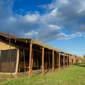 Thorn Tree Camp