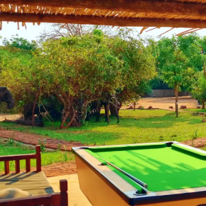 Pooltable, Thornicroft Lodge