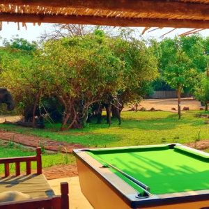 Pooltable, Thornicroft Lodge