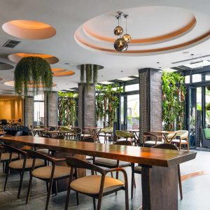 Tribe Hotel Dining