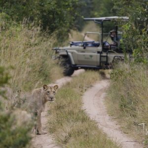 Tsowa Safari Lodge, Pirschfahrt