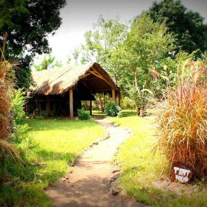 Udzungwa Forest Camp