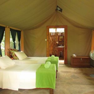 Udzungwa Forest Camp