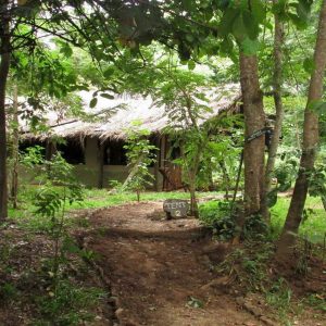 Udzungwa Forest Camp