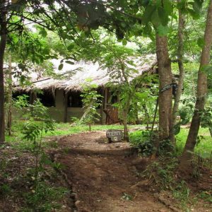 Udzungwa Forest Camp
