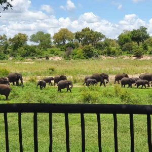 Umkumbe Safari Lodge Ausblick
