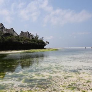 Strand bei Ebbe