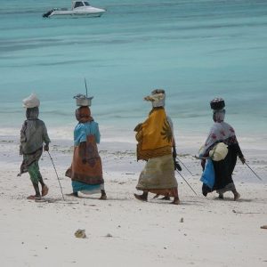 Unguja 2[18.04.23]}_5