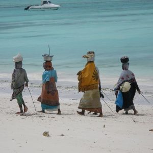 Unguja 2[18.04.23]}_5