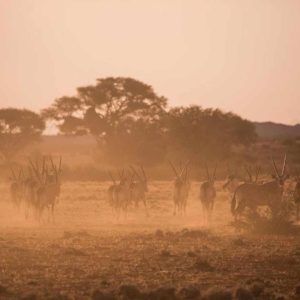 We Kebi Safari Lodge Gelände