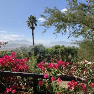 Wedgeview Country Housel wunderschöne Aussichten