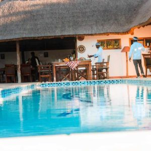 Wild Dog Lodge