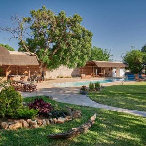 Wild Dog Lodge